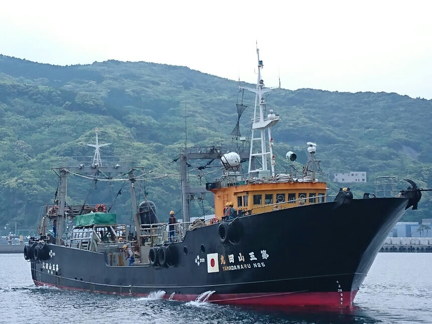 平型 コンテナ 水産 漁 漁船 （Ga GLASS CUSTOM 600 | ジェックス株式  