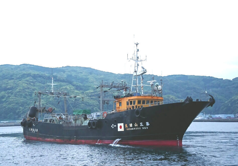 3山採用 3山採用